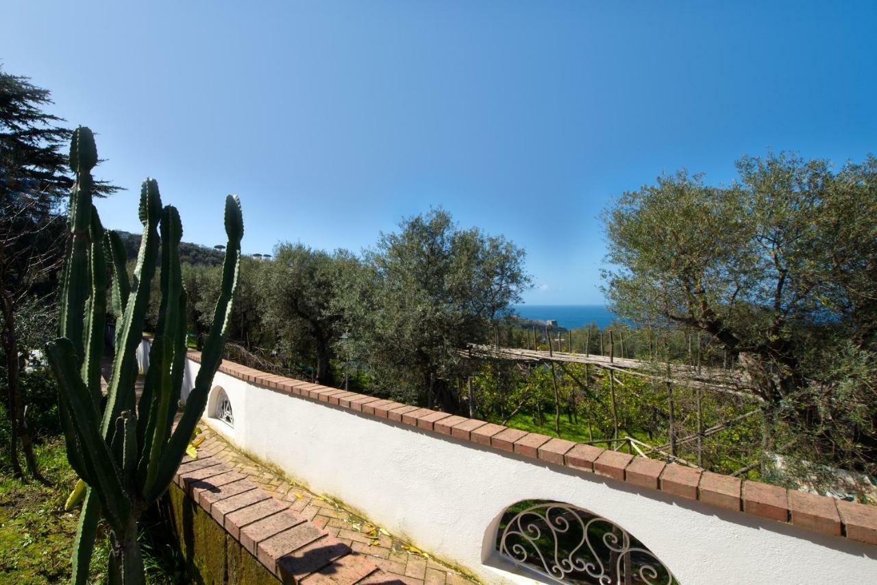 Apartamento Le Olivine *