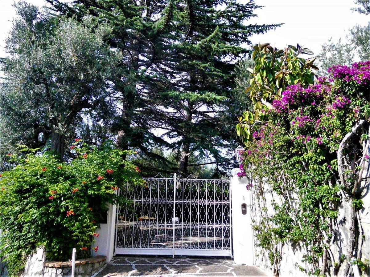 Le Olivine Apartamento *