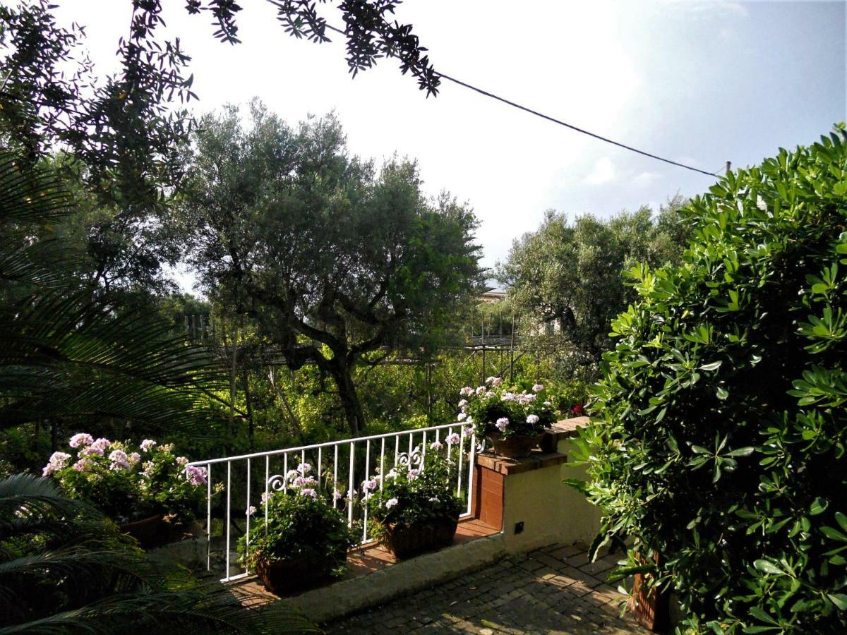 Le Olivine Apartamento Península Sorrentina